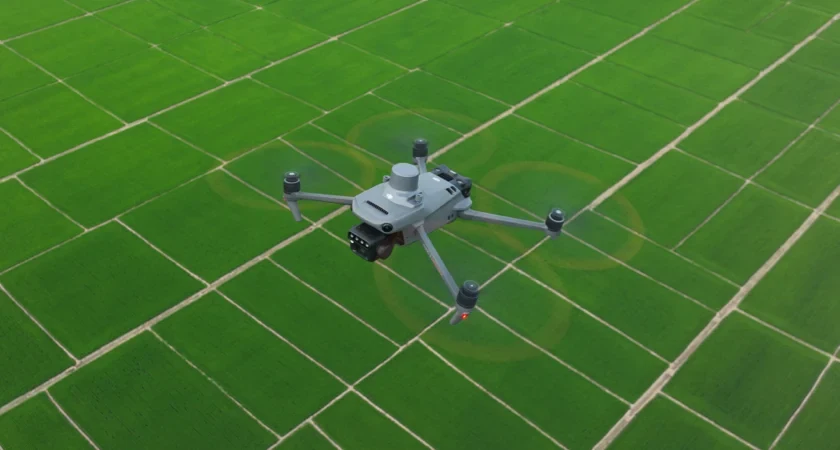 DJI Mavic 3 Multispectral deasupra culturilor agricole