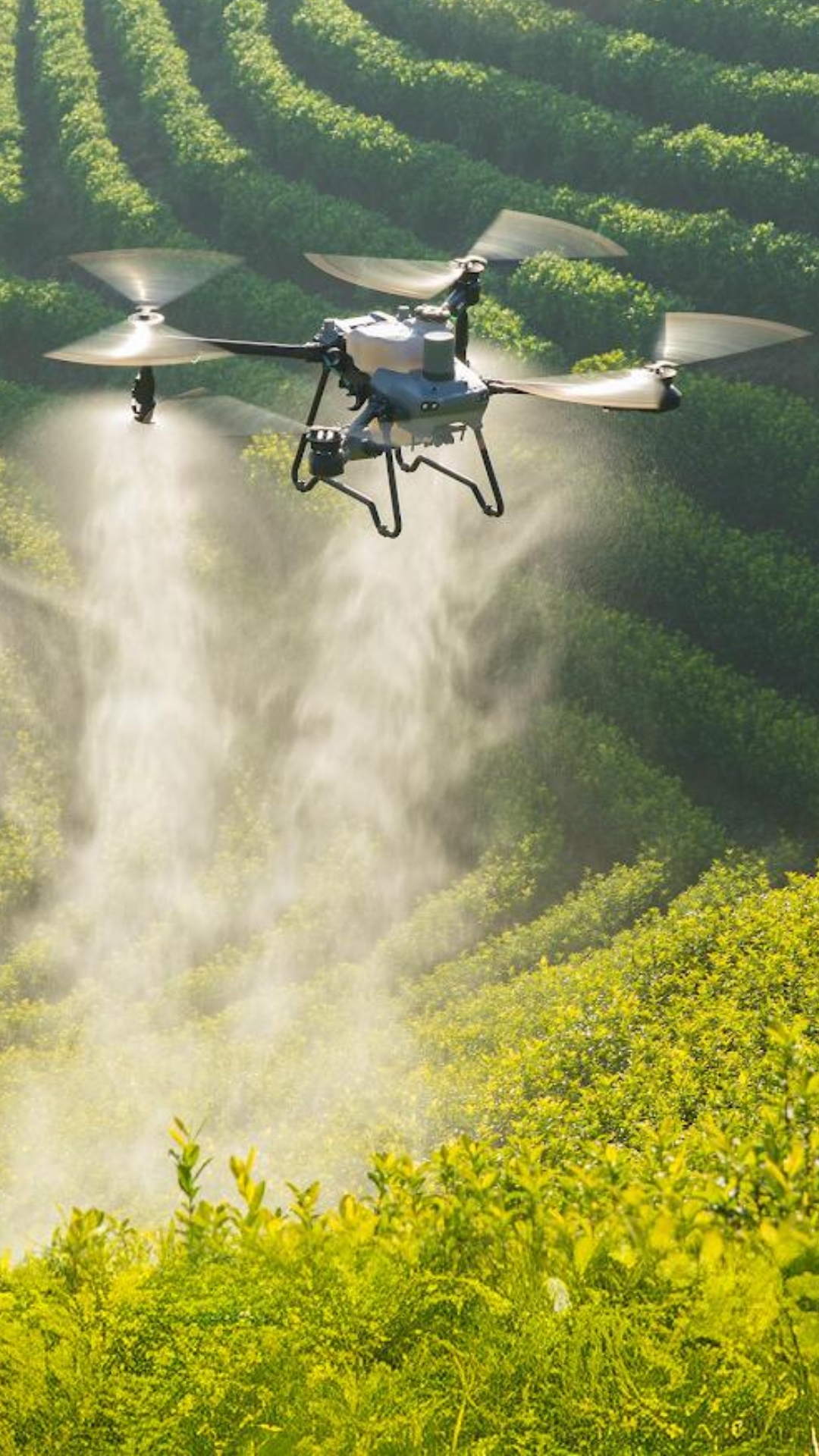 drona agricola DJI Agras T50
